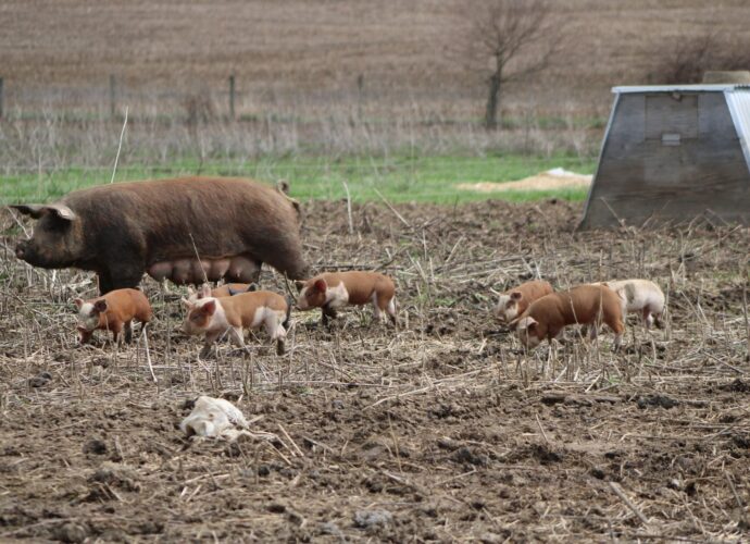 Ohio farmer erosion