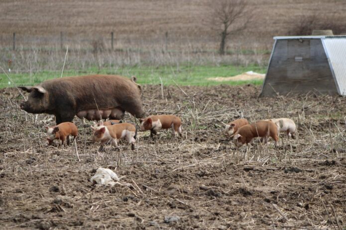 Ohio farmer erosion