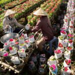 fastest-growing Asian economies