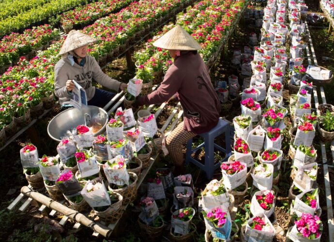 fastest-growing Asian economies