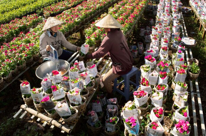 fastest-growing Asian economies