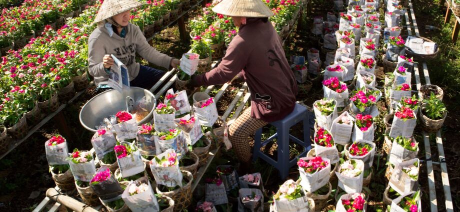 fastest-growing Asian economies